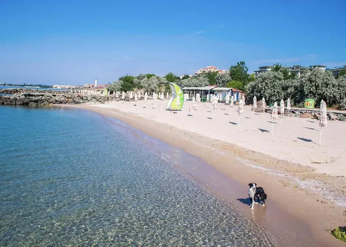 Rutland Bay Apartment